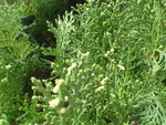 P3061298