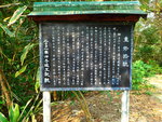 P3061305