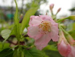 P4170370