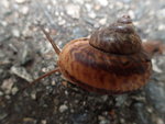 P4170384