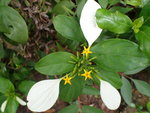 P4170448
