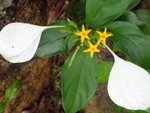 P4170449