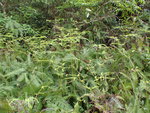 P4170450