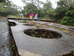 P4240454
