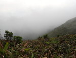 P4240492