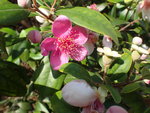 P5150679