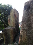 P5150698