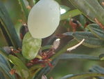P5220756