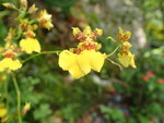 P5220760