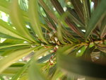 P6190960