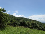 P6190979