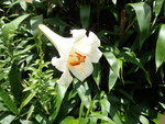 P6190980