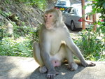 DSC00155