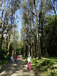 DSC00165
