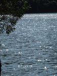 DSC00176