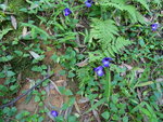 DSC00177