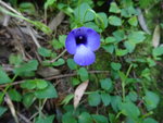 DSC00178
