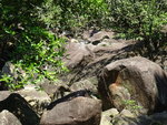 DSC00181