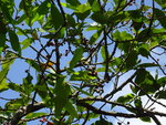 DSC00182