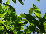 DSC00183