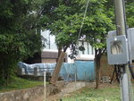 PB200448