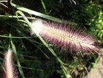 PB270501