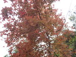 P1150777