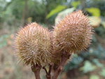 P1150790