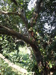 P1220814