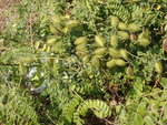 P1220828