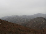 P2190982