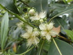 P5071486