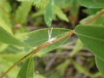 P5071493