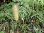 P5071496