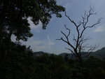 P7301738