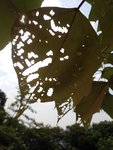 P7301767