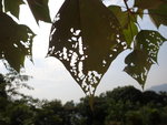 P7301768
