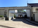 P1142384