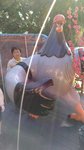 IMG_20180114_143045