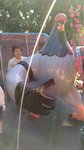 IMG_20180114_143046