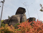 P3182628