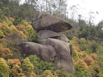 P3182637