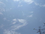 P5012963