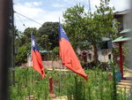 P5012969