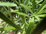 P5012982