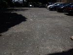 P5133006