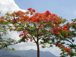 P5203017