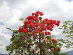 P5203018