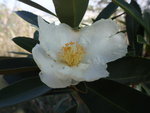 PC023494