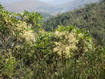 PC023505